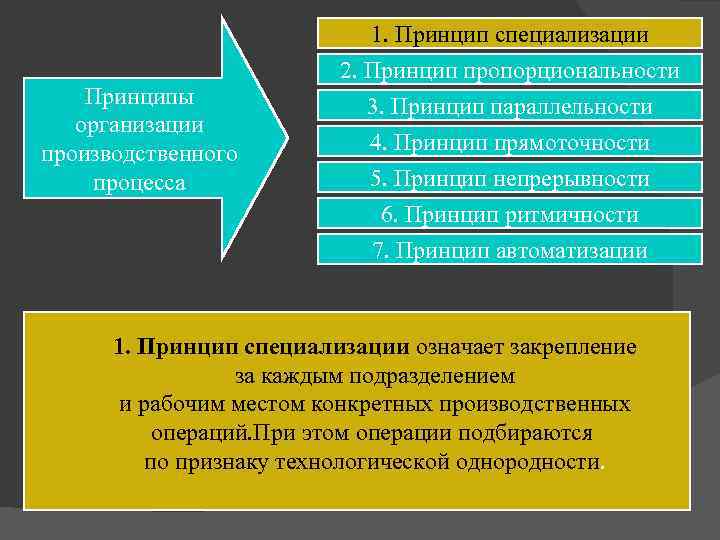 Принципы организации производственного процесса 1. Принцип специализации 2. Принцип пропорциональности 3. Принцип параллельности 4.