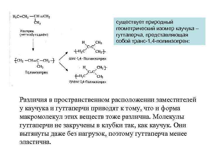 существует природный геометрический изомер каучука – гуттаперча, представляющая собой транс-1, 4 -полиизопрен: Различия в