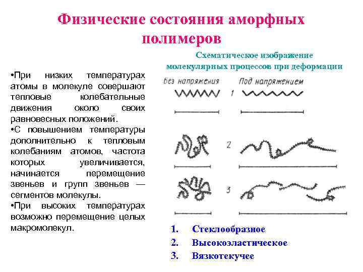 Физические состояния аморфных полимеров • При низких температурах атомы в молекуле совершают тепловые колебательные