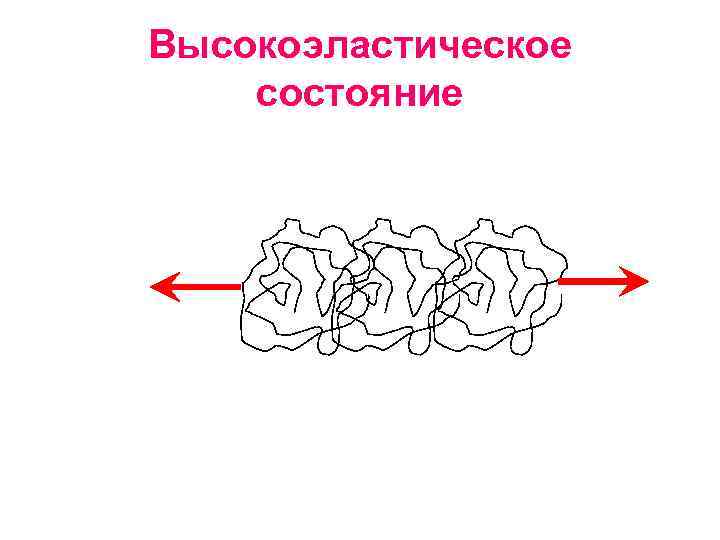 Высокоэластическое состояние 