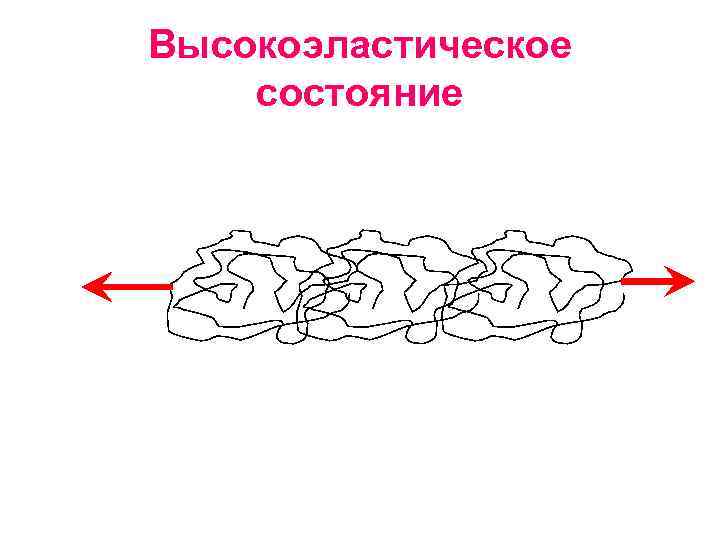 Высокоэластическое состояние 