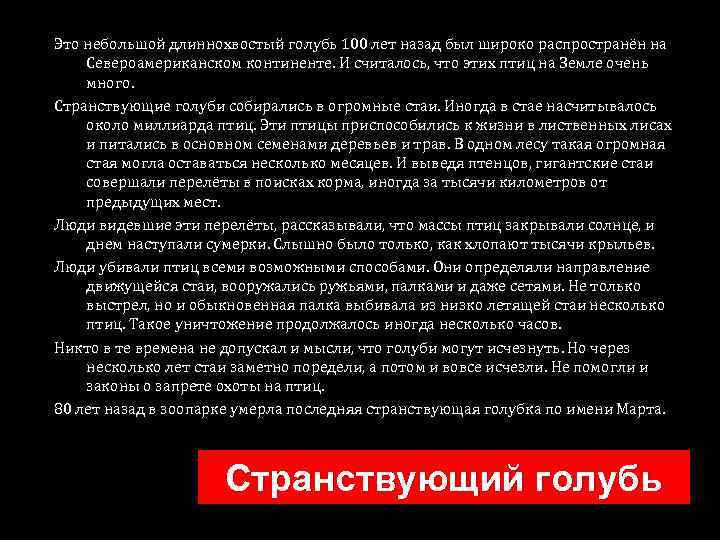 Это небольшой длиннохвостый голубь 100 лет назад был широко распространён на Североамериканском континенте. И