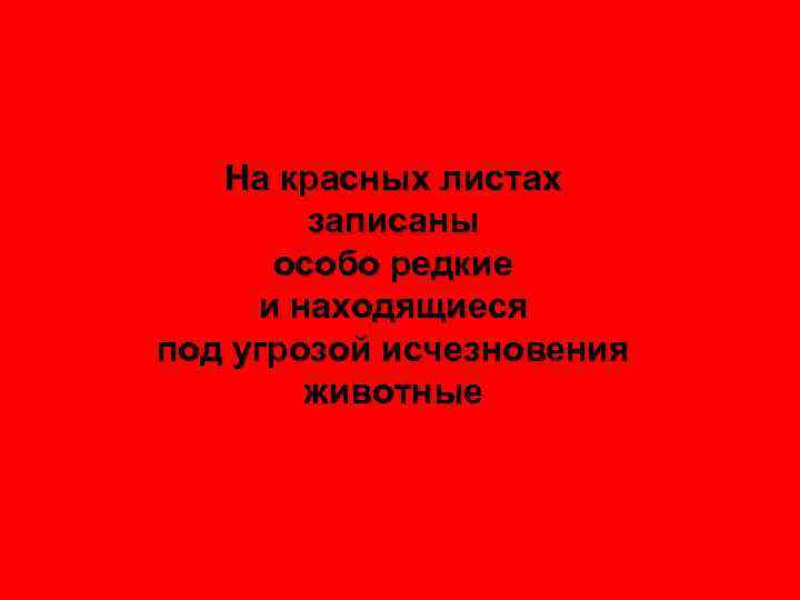 На красных листах записаны особо редкие и находящиеся под угрозой исчезновения животные 