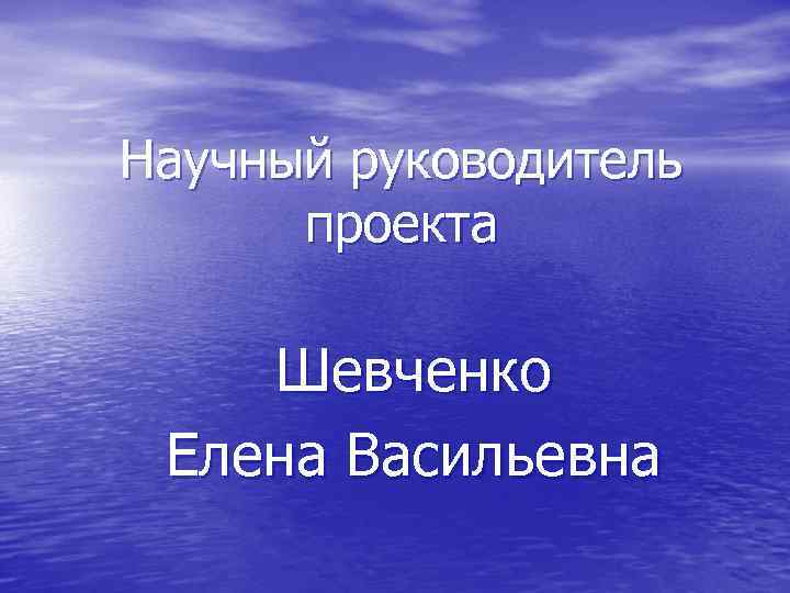 Научный руководитель проекта Шевченко Елена Васильевна 