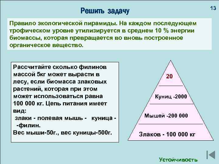 13 Решить задачу Разнообразие видов пиграф: Правило экологической пирамиды. На каждом последующем трофическом уровне