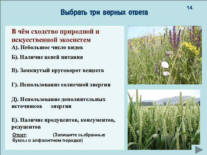 14. Разнообразие видов Выбрать три верных ответа пиграф: В чём сходство природной и искусственной