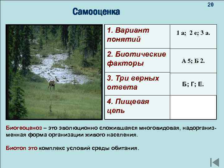 20 Разнообразие Самооценка видов пиграф: 1. Вариант 1 а; 2 е; 3 а. рай