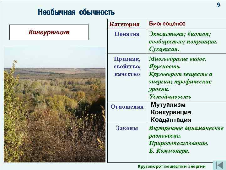 9 Разнообразие видов Необычная обычность Категория Мутуализм Конкуренция пиграф: Биогеоценоз Понятия родной, ты лесами