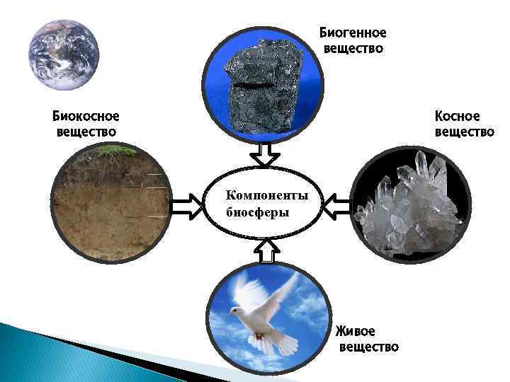 Биогенное вещество Биокосное вещество Компоненты биосферы Живое вещество 