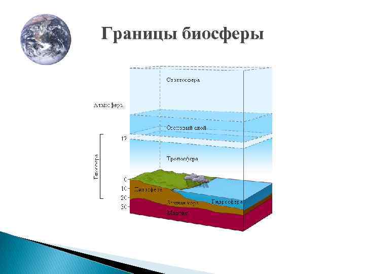 Границы биосферы 