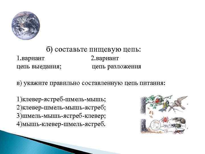 б) составьте пищевую цепь: 1. вариант цепь выедания; 2. вариант цепь разложения в) укажите