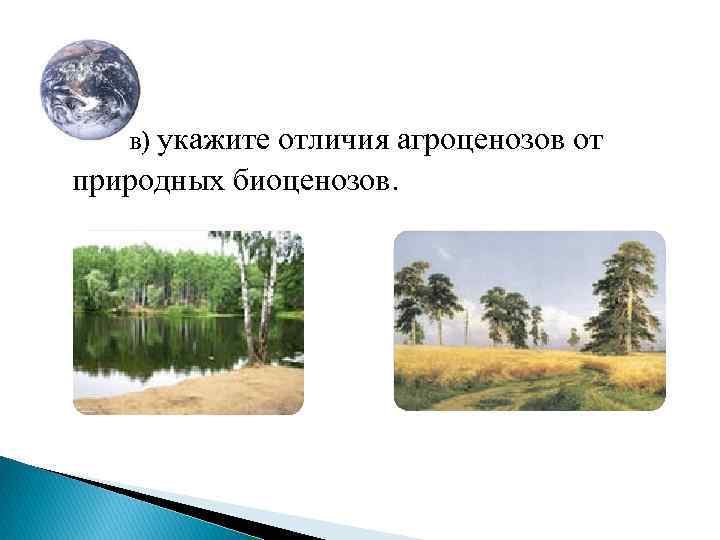 в) укажите отличия агроценозов от природных биоценозов. 