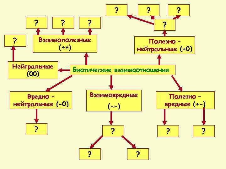 ? ? ? ? ? Вредно – нейтральные (-0) ? ? Взаимополезные (++) Нейтральные