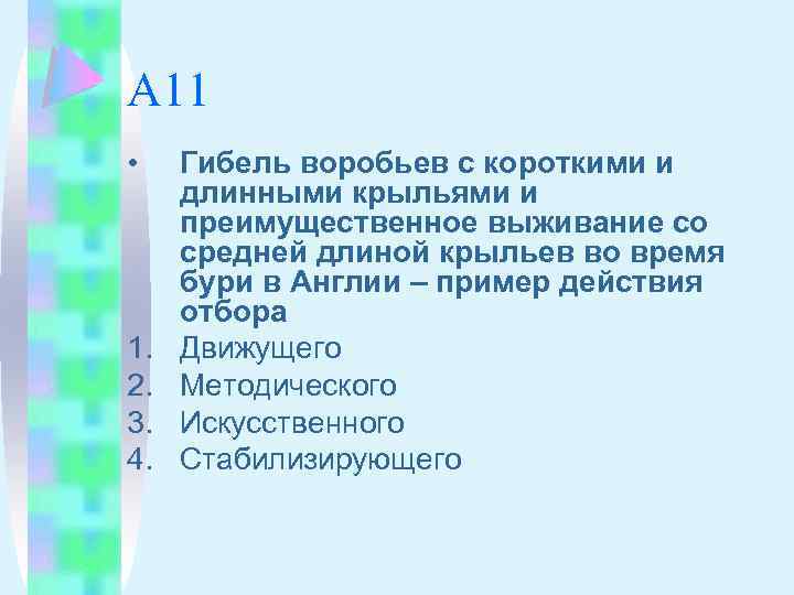 А 11 • 1. 2. 3. 4. Гибель воробьев с короткими и длинными крыльями