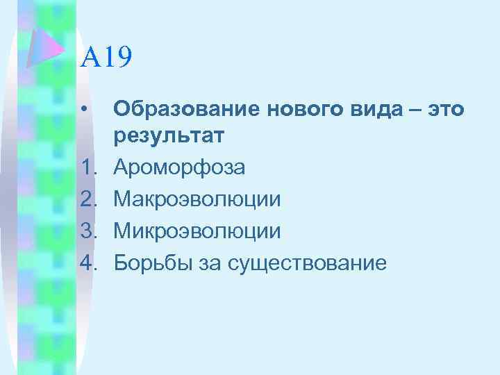 А 19 • 1. 2. 3. 4. Образование нового вида – это результат Ароморфоза