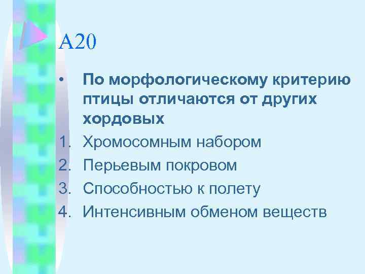 А 20 • 1. 2. 3. 4. По морфологическому критерию птицы отличаются от других