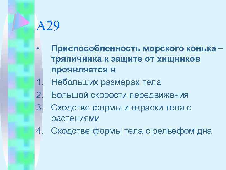 А 29 • 1. 2. 3. 4. Приспособленность морского конька – тряпичника к защите