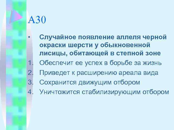 А 30 • 1. 2. 3. 4. Случайное появление аллеля черной окраски шерсти у