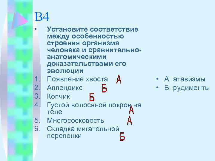 Установите соответствие между особенностями