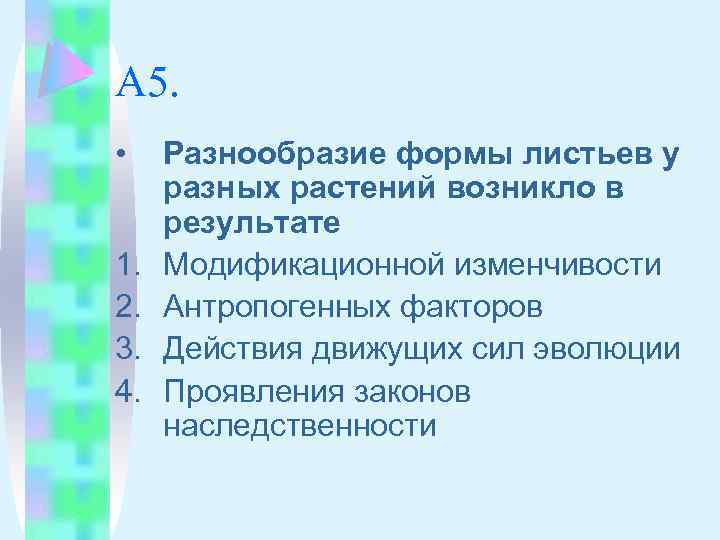 А 5. • 1. 2. 3. 4. Разнообразие формы листьев у разных растений возникло