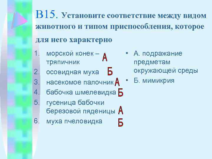 В 15. Установите соответствие между видом животного и типом приспособления, которое для него характерно