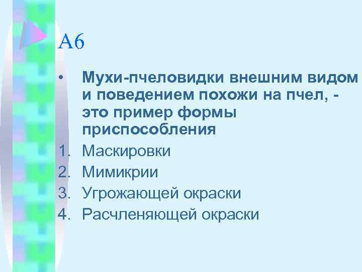 А 6 • 1. 2. 3. 4. Мухи-пчеловидки внешним видом и поведением похожи на