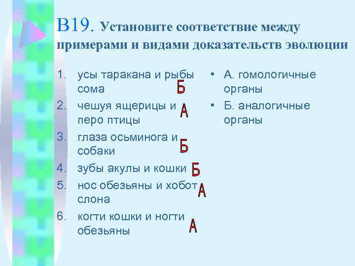 Установите соответствие между доказательством эволюции. Установите соответствие между примерами. Установите соответствие между примерами и доказательствами эволюции. Установите соответствие между примерами примерами и видами. Установите соответствие между 1 доказательством эволюции и их видов.