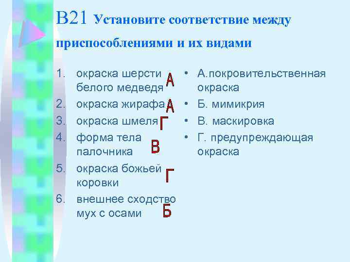 Установите соответствие между приведенными примерами