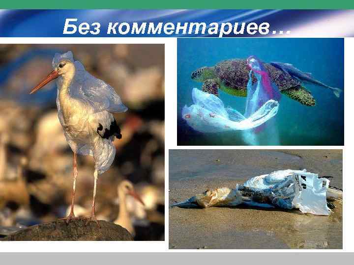 Без комментариев… 