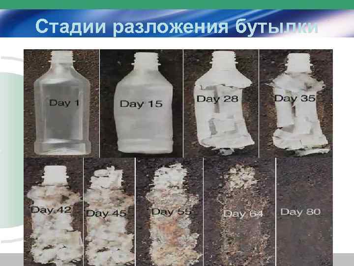 Стадии разложения бутылки 