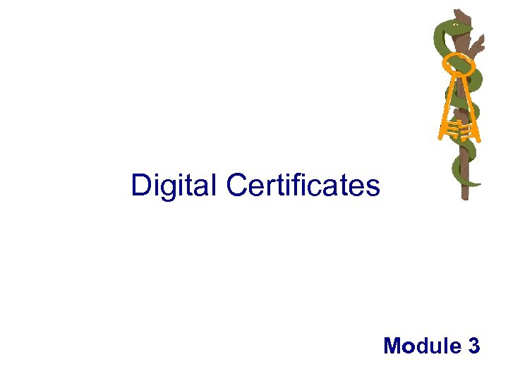 Digital Certificates Module 3 