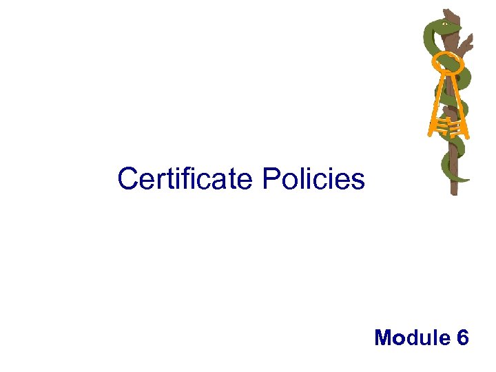 Certificate Policies Module 6 