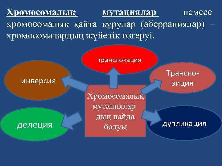 Хромосомалық мутациялар немесе хромосомалық қайта құрулар (аберрациялар) – хромосомалардың жүйелік өзгеруі. транслокация Транспозиция инверсия