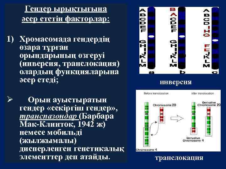 Гендер ырықтығына әсер ететін факторлар: 1) Хромасомада гендердің өзара тұрған орындарының өзгеруі (инверсия, транслокация)
