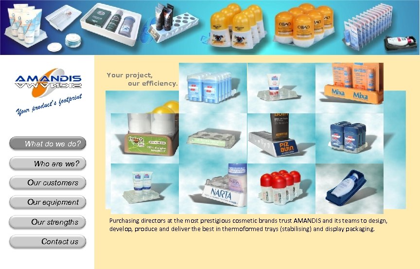 Your project, our efficiency. What do we do? Who are we? Our customers Our