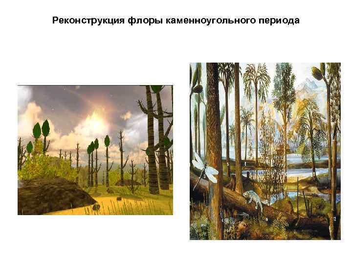 Реконструкция флоры каменноугольного периода 