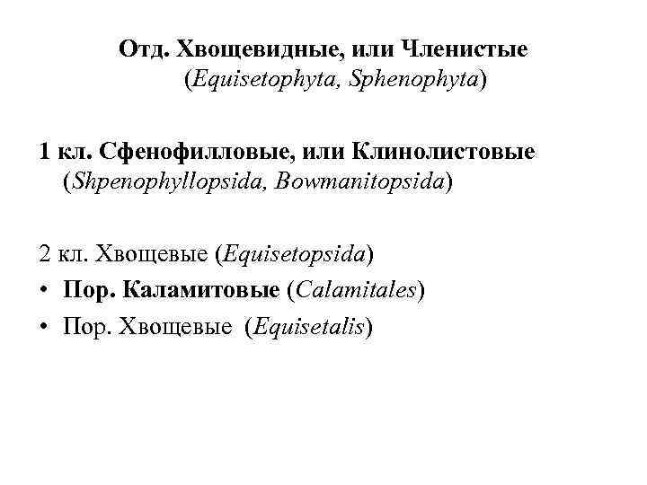 Отд. Хвощевидные, или Членистые (Equisetophyta, Sphenophyta) 1 кл. Сфенофилловые, или Клинолистовые (Shpenophyllopsida, Bowmanitopsida) 2