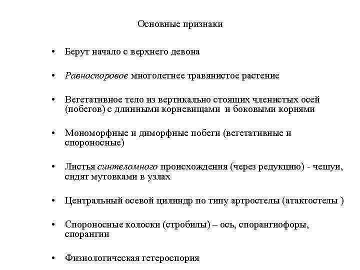Основные признаки • Берут начало с верхнего девона • Равноспоровое многолетнее травянистое растение •