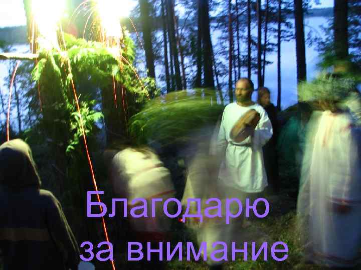 Благодарю за внимание 