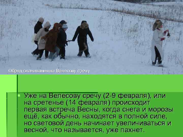 Обряд опахивания на Велесову сречу § Уже на Велесову сречу (2 -9 февраля), или