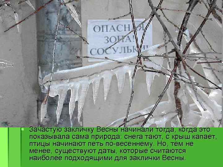 § Зачастую закличку Весны начинали тогда, когда это показывала сама природа: снега тают, с