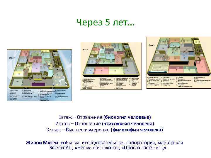 Через 5 лет… 1 этаж – Отражение (биология человека) 2 этаж – Отношение (психология