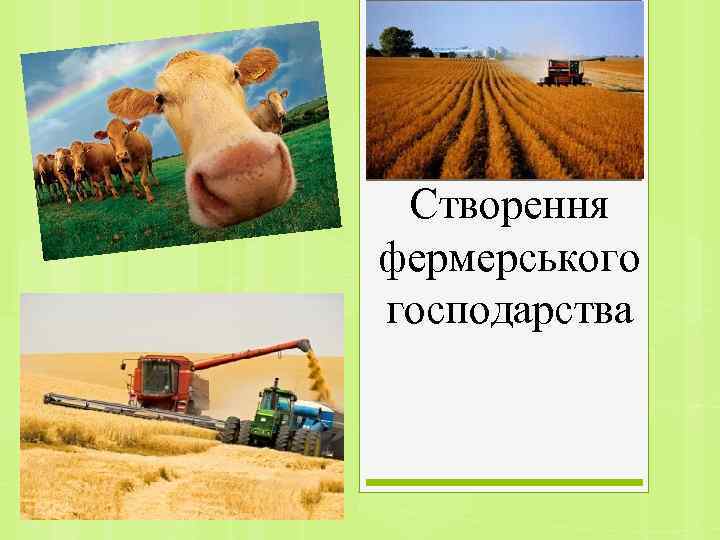 Створення фермерського господарства 