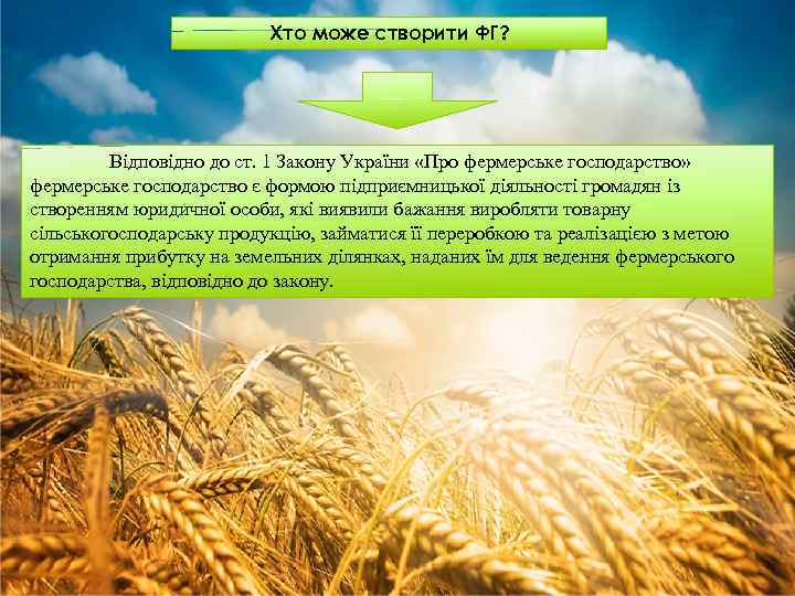 Хто може створити ФГ? Відповідно до ст. 1 Закону України «Про фермерське господарство» фермерське
