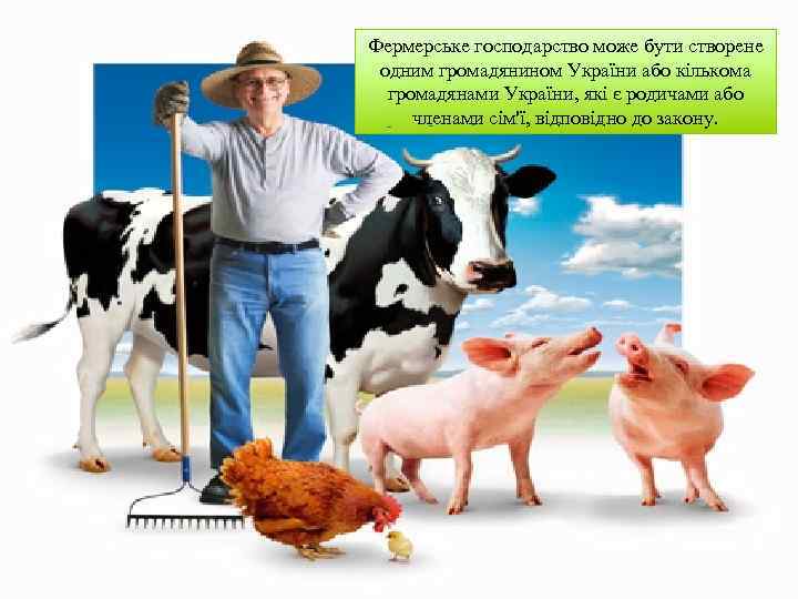 Фермерське господарство може бути створене одним громадянином України або кількома громадянами України, які є