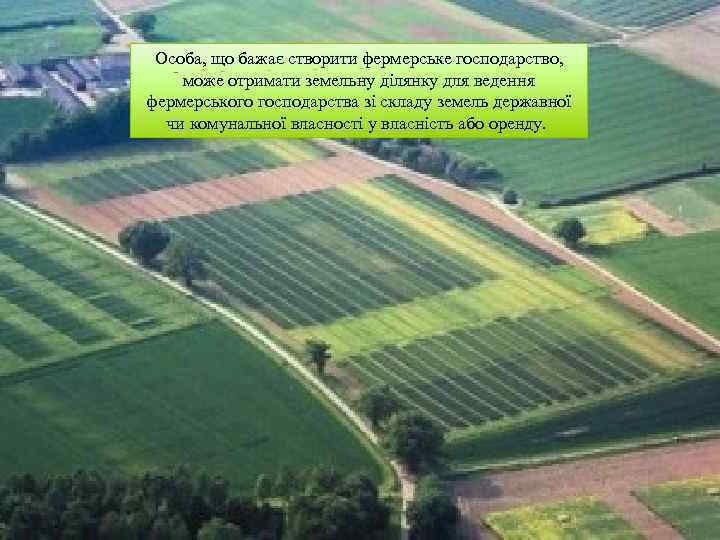Особа, що бажає створити фермерське господарство, може отримати земельну ділянку для ведення фермерського господарства