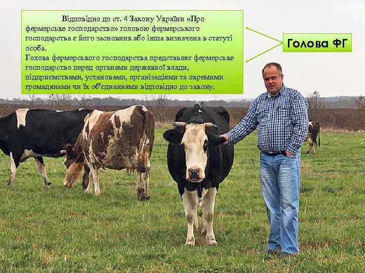 Відповідно до ст. 4 Закону України «Про фермерське господарство» головою фермерського господарства є його