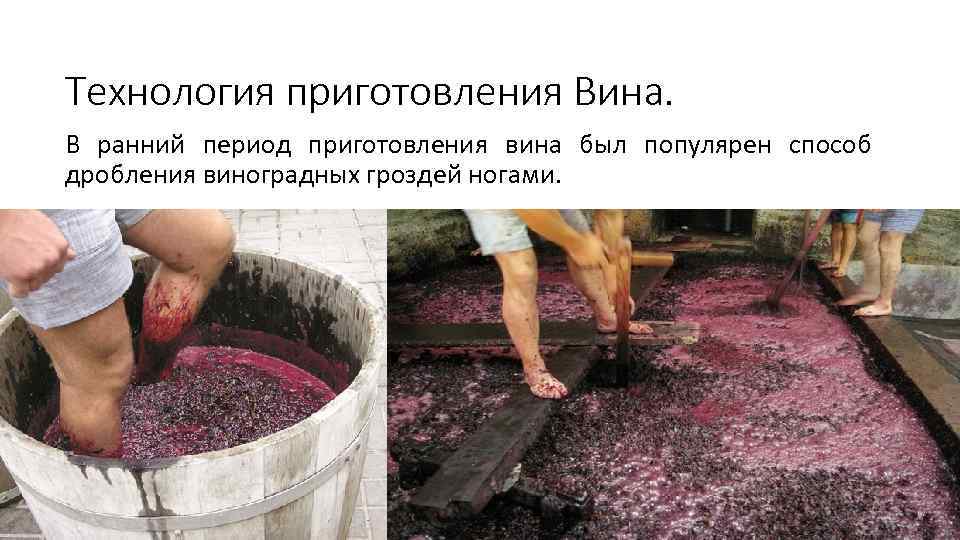  Технология приготовления Вина. В ранний период приготовления вина был популярен способ дробления виноградных