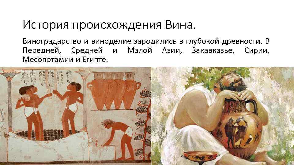 История происхождения Вина. Виноградарство и виноделие зародились в глубокой древности. В Передней, Средней и
