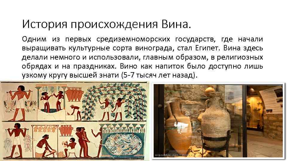 История происхождения Вина. Одним из первых средиземноморских государств, где начали выращивать культурные сорта винограда,